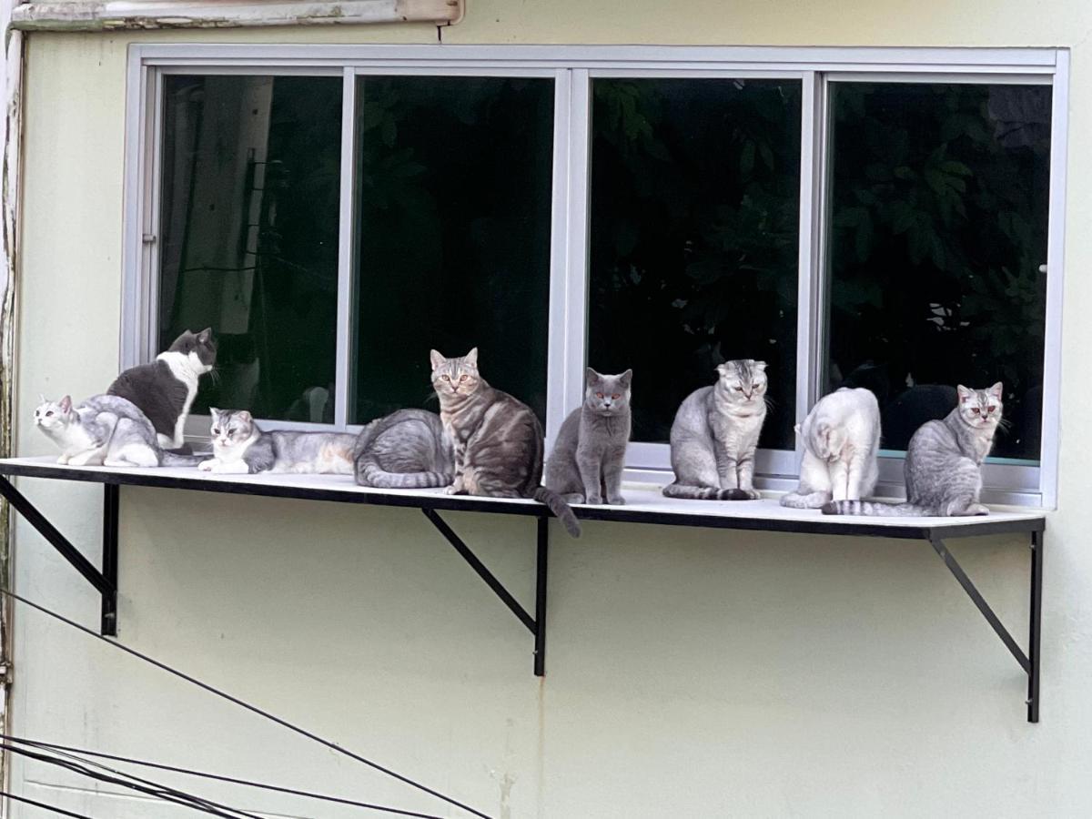 バーン ニラワン ホアヒン ホテル ホアヒン郡 エクステリア 写真
